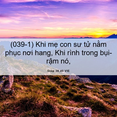 Picture 06 - Gióp 38:40 VIE - (039-1) Khi mẹ con sư tử nằm phục nơi - Bible Verse Picture