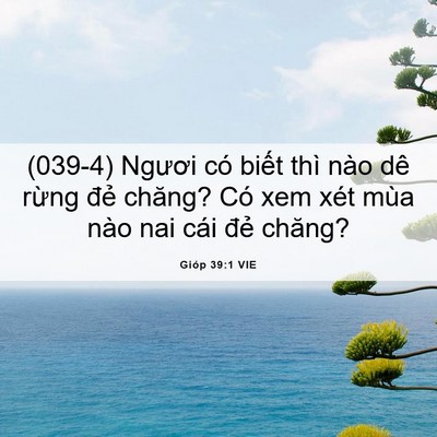 Picture 06 - Gióp 39:1 VIE - (039-4) Ngươi có biết thì nào dê rừng - Bible Verse Picture