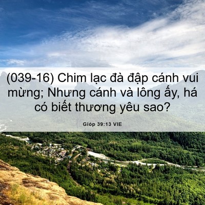 Picture 06 - Gióp 39:13 VIE - (039-16) Chim lạc đà đập cánh vui mừng; - Bible Verse Picture
