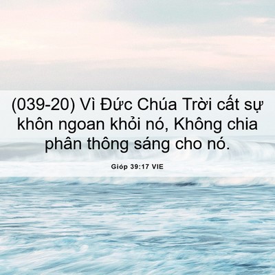 Picture 06 - Gióp 39:17 VIE - (039-20) Vì Đức Chúa Trời cất sự khôn - Bible Verse Picture