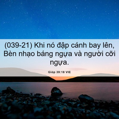 Picture 06 - Gióp 39:18 VIE - (039-21) Khi nó đập cánh bay lên, Bèn - Bible Verse Picture
