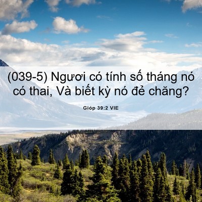 Picture 06 - Gióp 39:2 VIE - (039-5) Ngươi có tính số tháng nó có - Bible Verse Picture