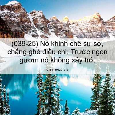 Picture 06 - Gióp 39:22 VIE - (039-25) Nó khinh chê sự sợ, chẳng ghê - Bible Verse Picture