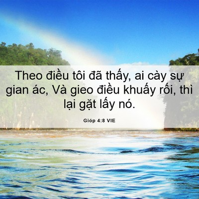 Picture 06 - Gióp 4:8 VIE - Theo điều tôi đã thấy, ai cày sự gian - Bible Verse Picture