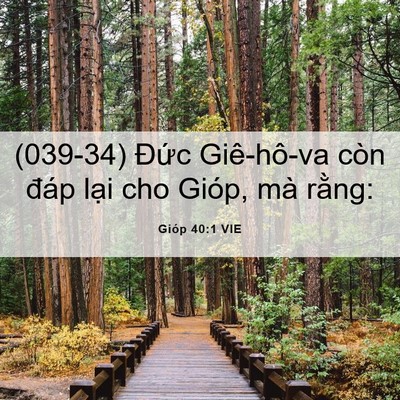 Picture 06 - Gióp 40:1 VIE - (039-34) Đức Giê-hô-va còn đáp lại cho - Bible Verse Picture