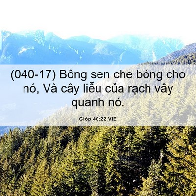 Picture 06 - Gióp 40:22 VIE - (040-17) Bông sen che bóng cho nó, Và cây - Bible Verse Picture