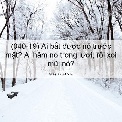 Picture 06 - Gióp 40:24 VIE - (040-19) Ai bắt được nó trước mặt? Ai - Bible Verse Picture
