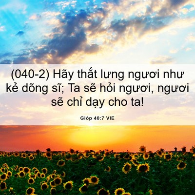 Picture 06 - Gióp 40:7 VIE - (040-2) Hãy thắt lưng ngươi như kẻ dõng - Bible Verse Picture