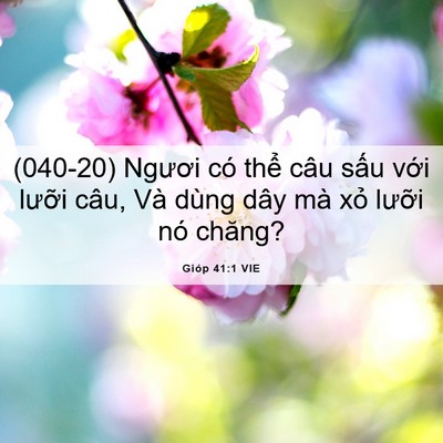 Picture 06 - Gióp 41:1 VIE - (040-20) Ngươi có thể câu sấu với - Bible Verse Picture
