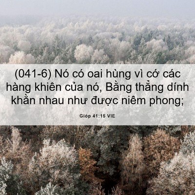 Picture 06 - Gióp 41:15 VIE - (041-6) Nó có oai hùng vì cớ các hàng - Bible Verse Picture