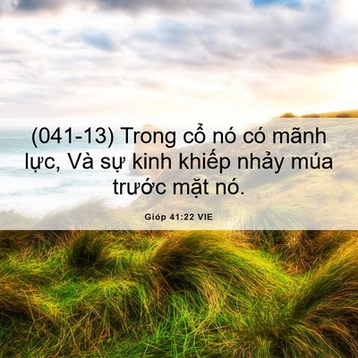 Picture 06 - Gióp 41:22 VIE - (041-13) Trong cổ nó có mãnh lực, Và sự - Bible Verse Picture