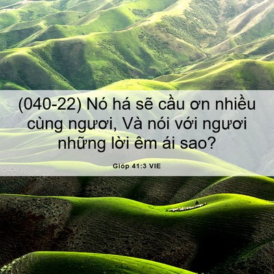 Picture 06 - Gióp 41:3 VIE - (040-22) Nó há sẽ cầu ơn nhiều cùng - Bible Verse Picture