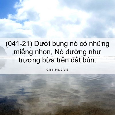 Picture 06 - Gióp 41:30 VIE - (041-21) Dưới bụng nó có những miểng - Bible Verse Picture