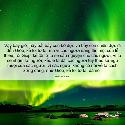 Picture 06 - Gióp 42:8 VIE - Vậy bây giờ, hãy bắt bảy con bò đực - Bible Verse Picture
