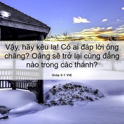 Picture 06 - Gióp 5:1 VIE - Vậy, hãy kêu la! Có ai đáp lời ông - Bible Verse Picture