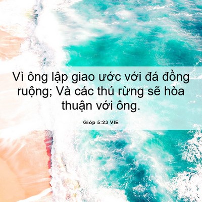 Picture 06 - Gióp 5:23 VIE - Vì ông lập giao ước với đá đồng - Bible Verse Picture