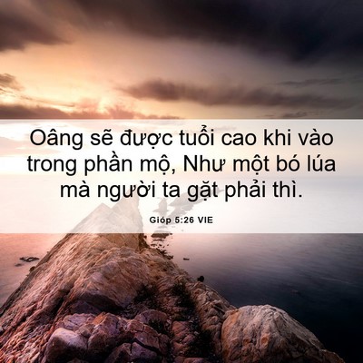 Picture 06 - Gióp 5:26 VIE - Oâng sẽ được tuổi cao khi vào trong - Bible Verse Picture