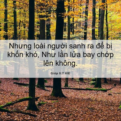 Picture 06 - Gióp 5:7 VIE - Nhưng loài người sanh ra để bị khốn - Bible Verse Picture