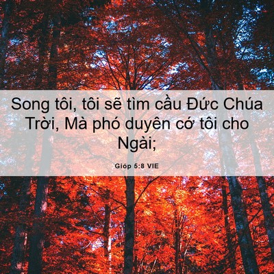 Picture 06 - Gióp 5:8 VIE - Song tôi, tôi sẽ tìm cầu Đức Chúa - Bible Verse Picture