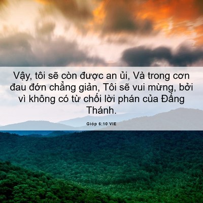 Picture 06 - Gióp 6:10 VIE - Vậy, tôi sẽ còn được an ủi, Và trong - Bible Verse Picture