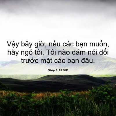 Picture 06 - Gióp 6:28 VIE - Vậy bây giờ, nếu các bạn muốn, hãy - Bible Verse Picture