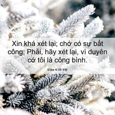 Picture 06 - Gióp 6:29 VIE - Xin khá xét lại; chớ có sự bất công; - Bible Verse Picture