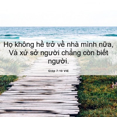 Picture 06 - Gióp 7:10 VIE - Họ không hề trở về nhà mình nữa, Và - Bible Verse Picture