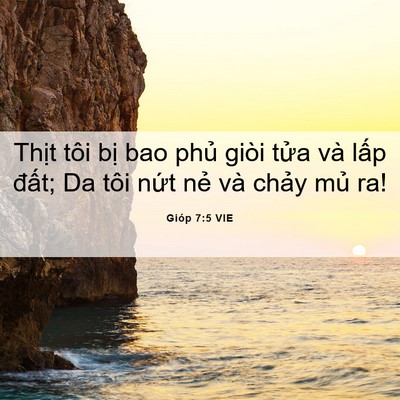 Picture 06 - Gióp 7:5 VIE - Thịt tôi bị bao phủ giòi tửa và lấp - Bible Verse Picture