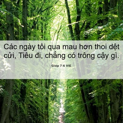 Picture 06 - Gióp 7:6 VIE - Các ngày tôi qua mau hơn thoi dệt cửi, - Bible Verse Picture