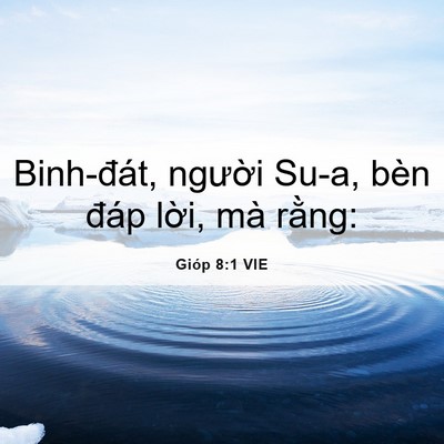 Picture 06 - Gióp 8:1 VIE - Binh-đát, người Su-a, bèn đáp lời, mà - Bible Verse Picture