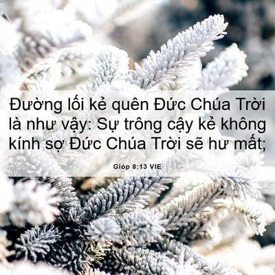 Picture 06 - Gióp 8:13 VIE - Đường lối kẻ quên Đức Chúa Trời - Bible Verse Picture