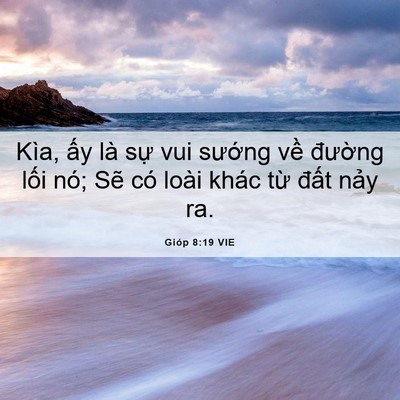 Picture 06 - Gióp 8:19 VIE - Kìa, ấy là sự vui sướng về đường - Bible Verse Picture