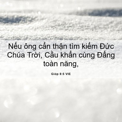 Picture 06 - Gióp 8:5 VIE - Nếu ông cẩn thận tìm kiếm Đức Chúa - Bible Verse Picture