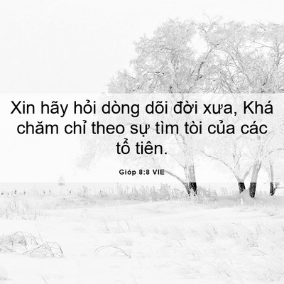 Picture 06 - Gióp 8:8 VIE - Xin hãy hỏi dòng dõi đời xưa, Khá chăm - Bible Verse Picture