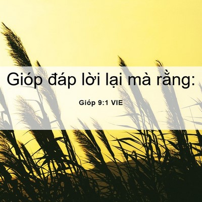 Picture 06 - Gióp 9:1 VIE - Gióp đáp lời lại mà - Bible Verse Picture