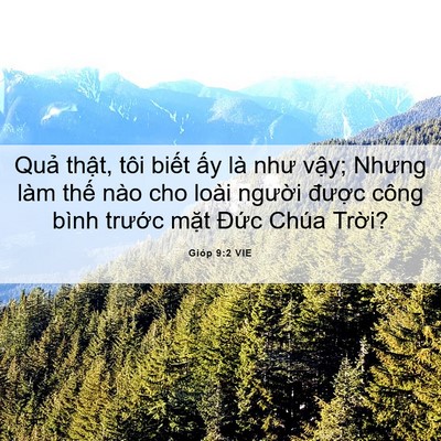 Picture 06 - Gióp 9:2 VIE - Quả thật, tôi biết ấy là như vậy; - Bible Verse Picture