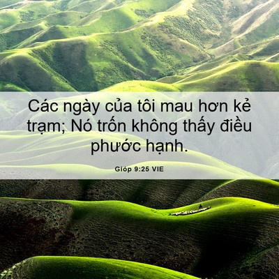 Picture 06 - Gióp 9:25 VIE - Các ngày của tôi mau hơn kẻ trạm; Nó - Bible Verse Picture