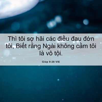 Picture 06 - Gióp 9:28 VIE - Thì tôi sợ hãi các điều đau đớn - Bible Verse Picture