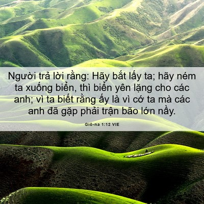 Picture 06 - Giô-na 1:12 VIE - Người trả lời rằng: Hãy bắt lấy ta; - Bible Verse Picture