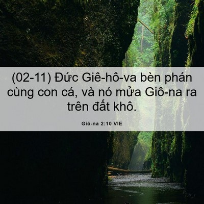 Picture 06 - Giô-na 2:10 VIE - (02-11) Đức Giê-hô-va bèn phán cùng con - Bible Verse Picture