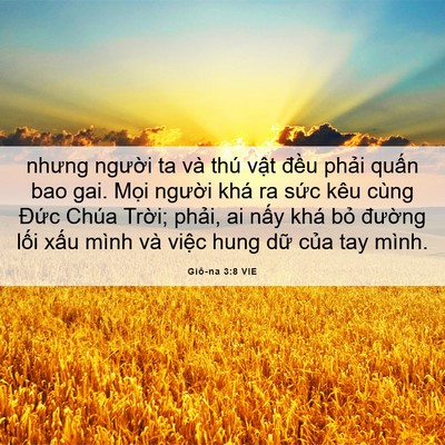 Picture 06 - Giô-na 3:8 VIE - nhưng người ta và thú vật đều phải - Bible Verse Picture