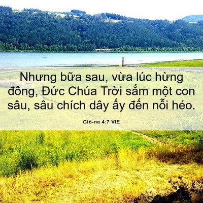 Picture 06 - Giô-na 4:7 VIE - Nhưng bữa sau, vừa lúc hừng đông, - Bible Verse Picture