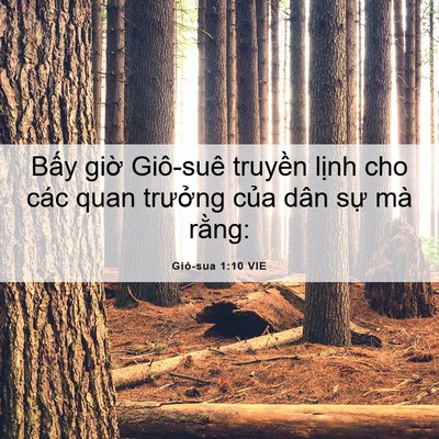 Picture 06 - Giô-sua 1:10 VIE - Bấy giờ Giô-suê truyền lịnh cho các - Bible Verse Picture