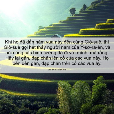 Picture 06 - Giô-sua 10:24 VIE - Khi họ đã dẫn năm vua này đến cùng - Bible Verse Picture