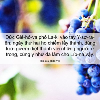 Picture 06 - Giô-sua 10:32 VIE - Đức Giê-hô-va phó La-ki vào tay - Bible Verse Picture