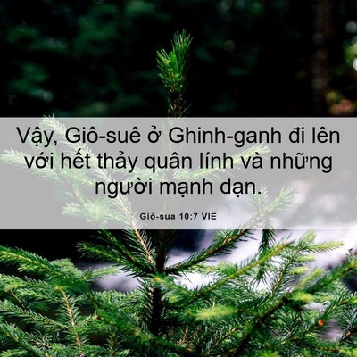 Picture 06 - Giô-sua 10:7 VIE - Vậy, Giô-suê ở Ghinh-ganh đi lên với - Bible Verse Picture