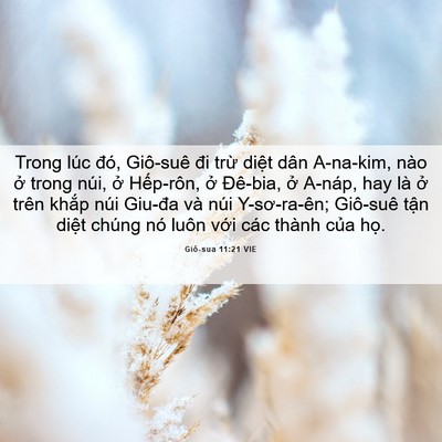 Picture 06 - Giô-sua 11:21 VIE - Trong lúc đó, Giô-suê đi trừ diệt dân - Bible Verse Picture