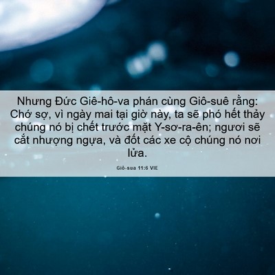 Picture 06 - Giô-sua 11:6 VIE - Nhưng Đức Giê-hô-va phán cùng Giô-suê - Bible Verse Picture