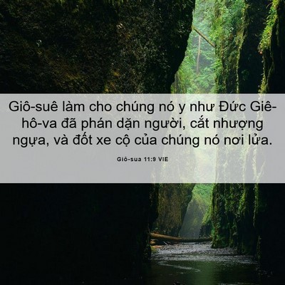 Picture 06 - Giô-sua 11:9 VIE - Giô-suê làm cho chúng nó y như Đức - Bible Verse Picture