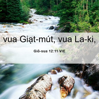 Picture 06 - Giô-sua 12:11 VIE - vua Giạt-mút, vua - Bible Verse Picture